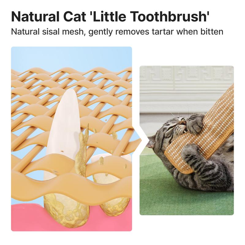 Interactive Catnip Chew Toy