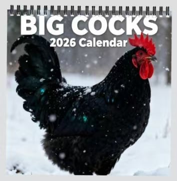 🎉New Year Hot Sale💓Limited Edition Custom-Made 2026 Fun Animal Wall Calendar