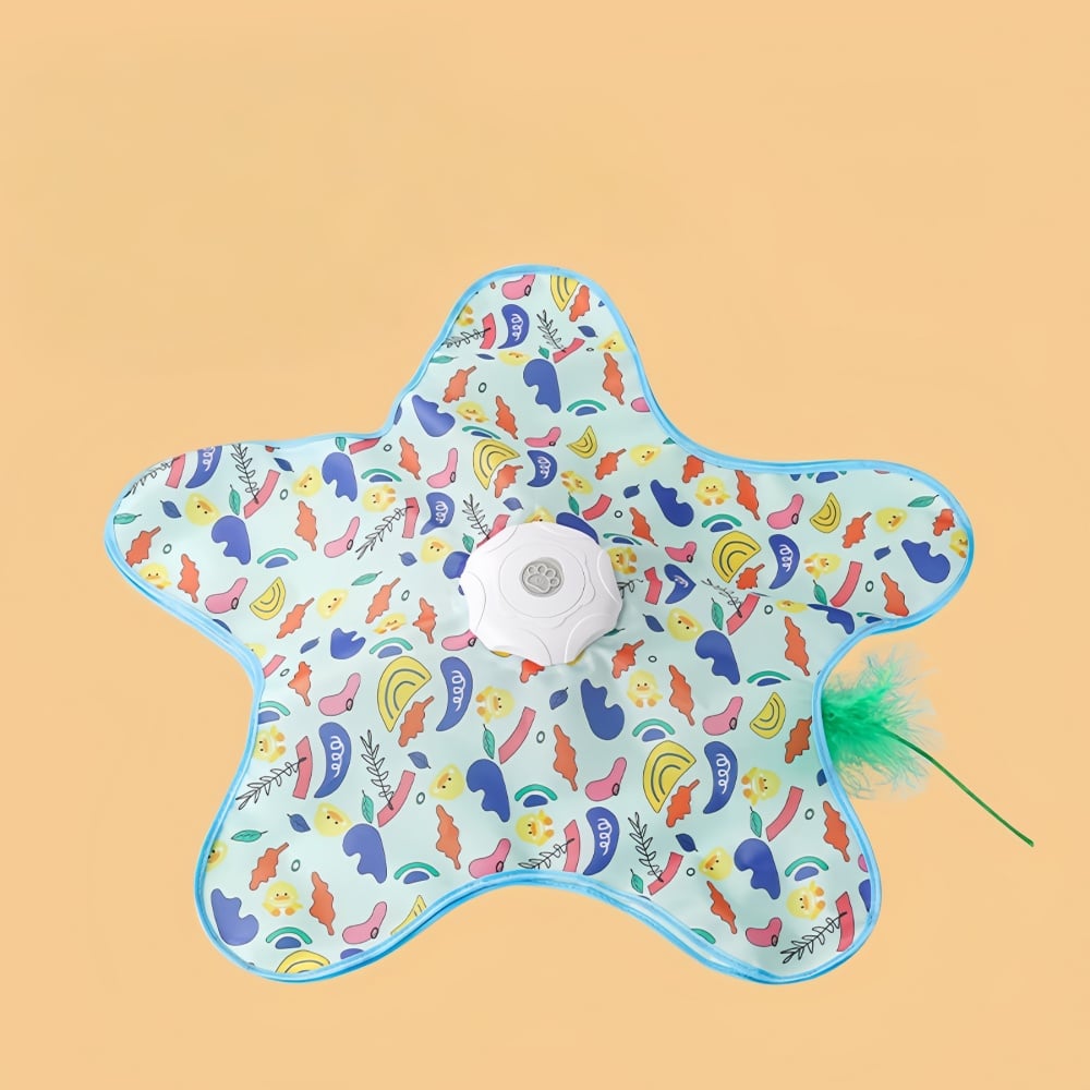 2 in 1 Hide and Seek Game Cat Toy