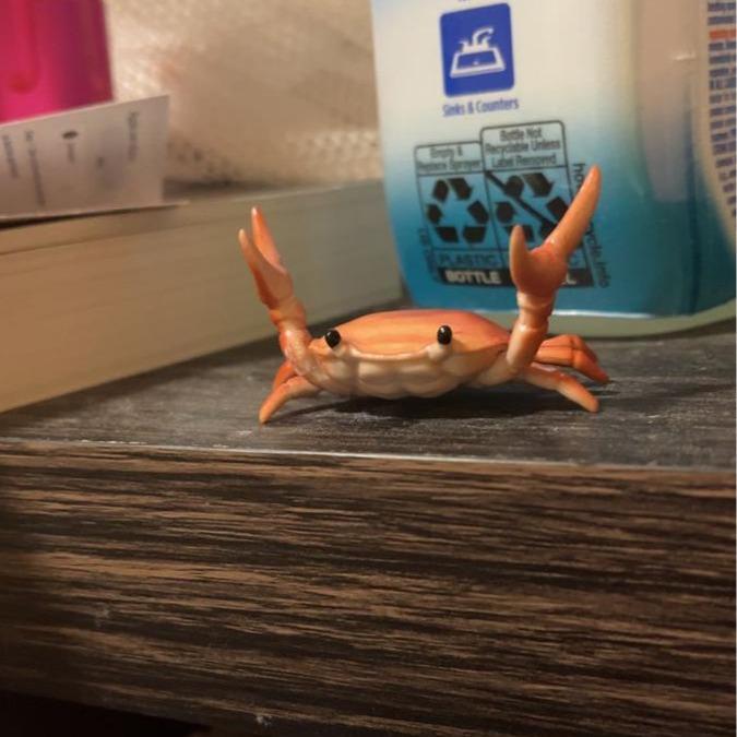 🤣 Funny Hot Sale - 🦀Cute crab-shaped pen holder