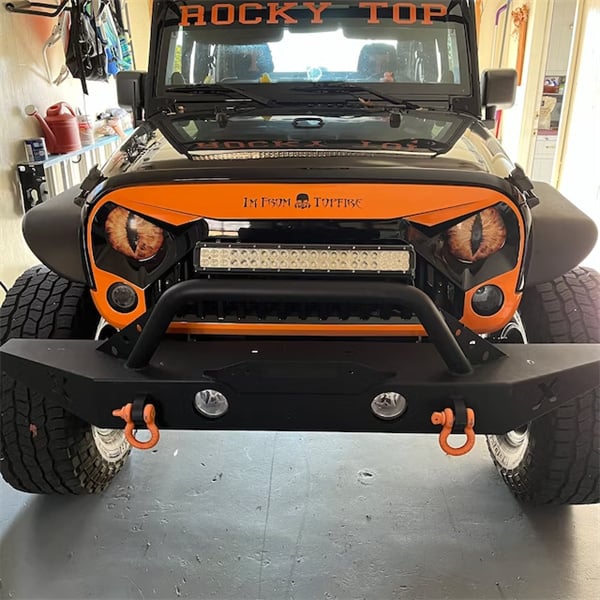 🔥  Beast Eyes Headlight Decals (1 Pair)