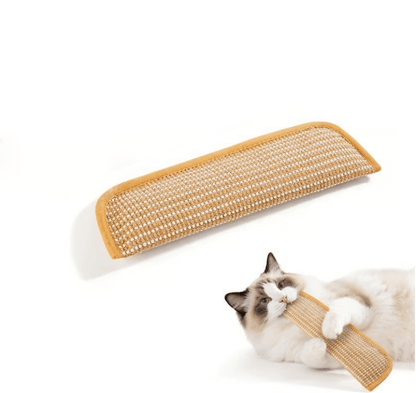 Interactive Catnip Chew Toy