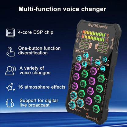 🎤Small Handheld Sound Card Set