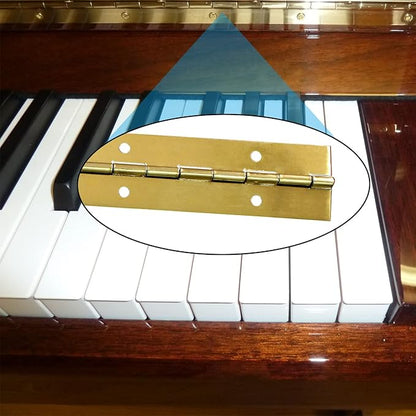 12-Inch Gold Continuous & Piano Hinge – Premium Stainless Steel for Heavy Duty Doors and Custom Projects