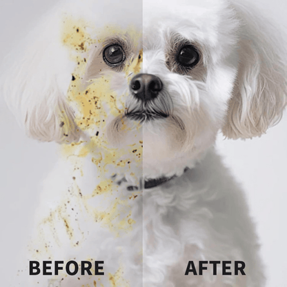 20Pcs Deodorizing Pet Glove Wipes