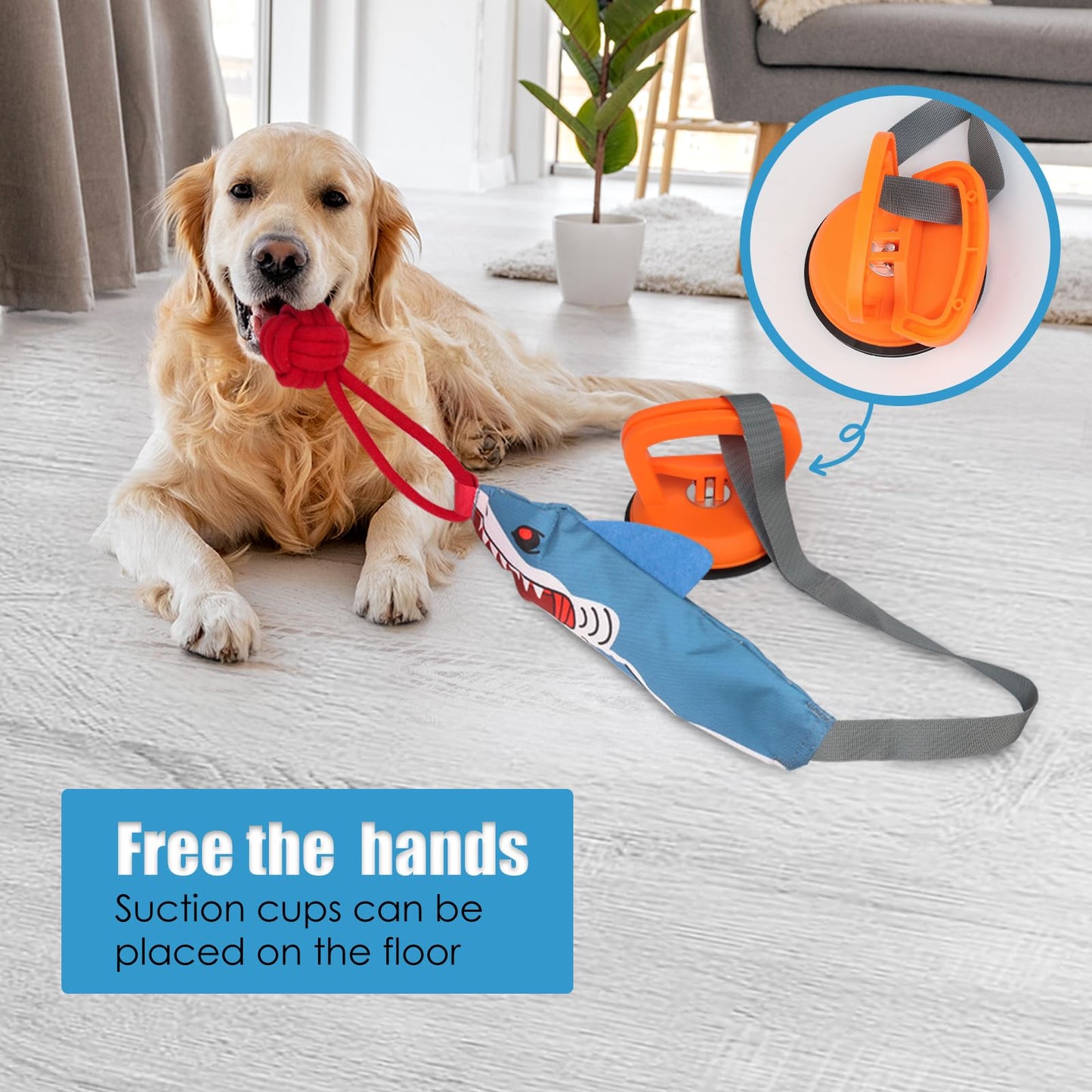 Tug of War Dog Toy with Suction Cup