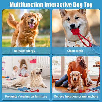 Tug of War Dog Toy with Suction Cup