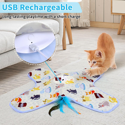 2 in 1 Hide and Seek Game Cat Toy