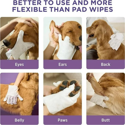 🔥Odor-Removing Pet Grooming Gloves