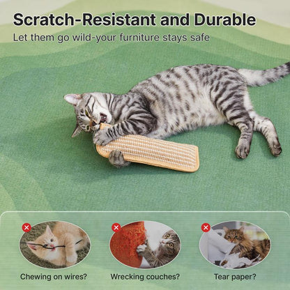 Interactive Catnip Chew Toy