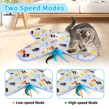 2 in 1 Hide and Seek Game Cat Toy