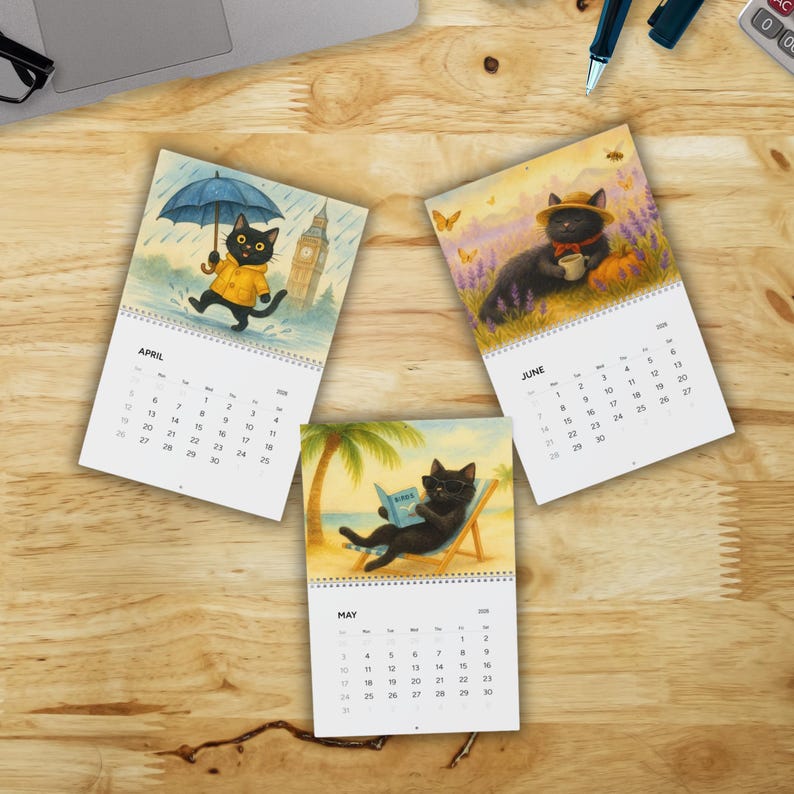 Funny Black Cat Holiday Calendar 2026