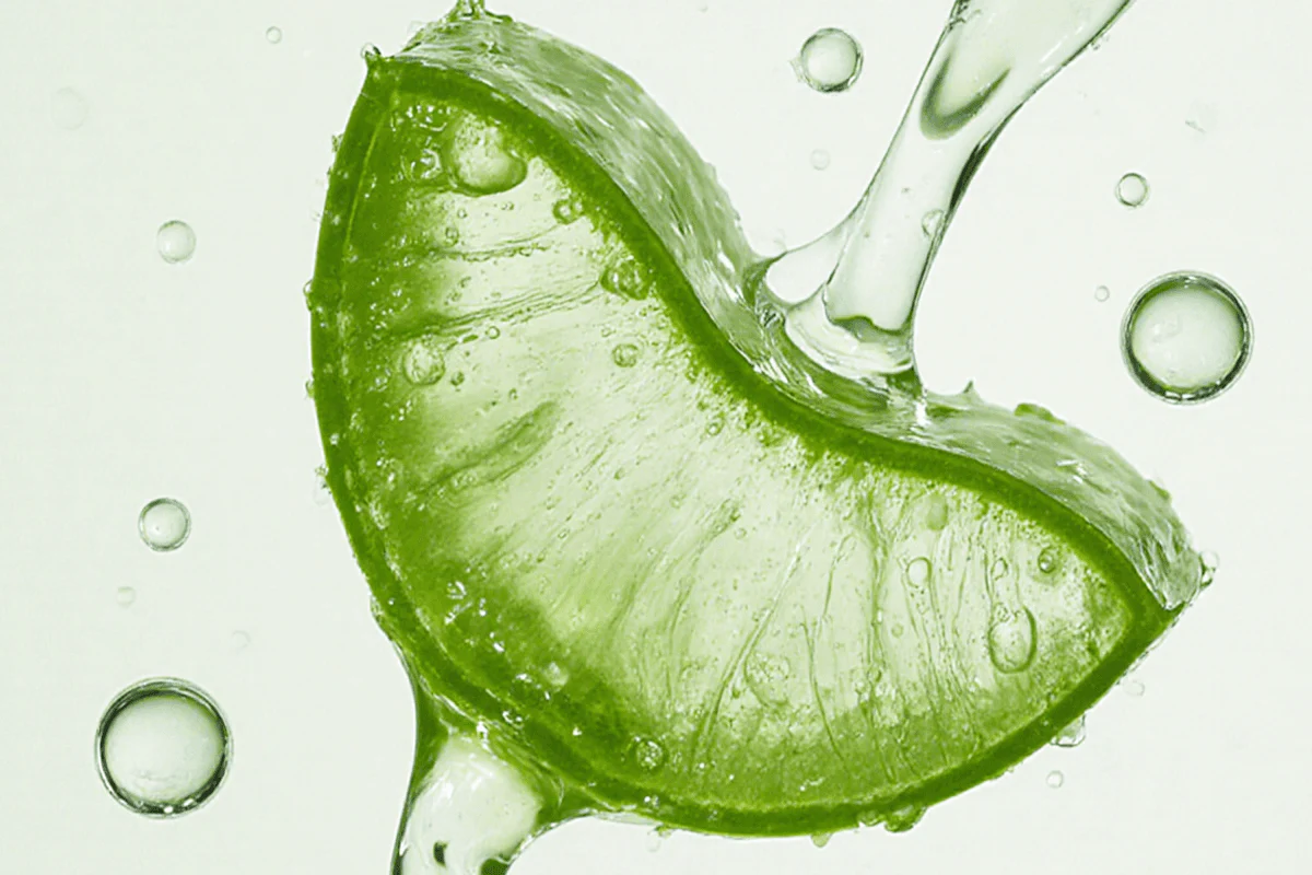 Aloe Vera